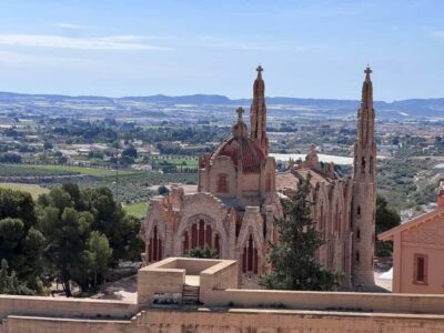 From Alicante: Winery Tour and Wine Tasting with Tapas - Vineyard walk: learning what harvest effort really means