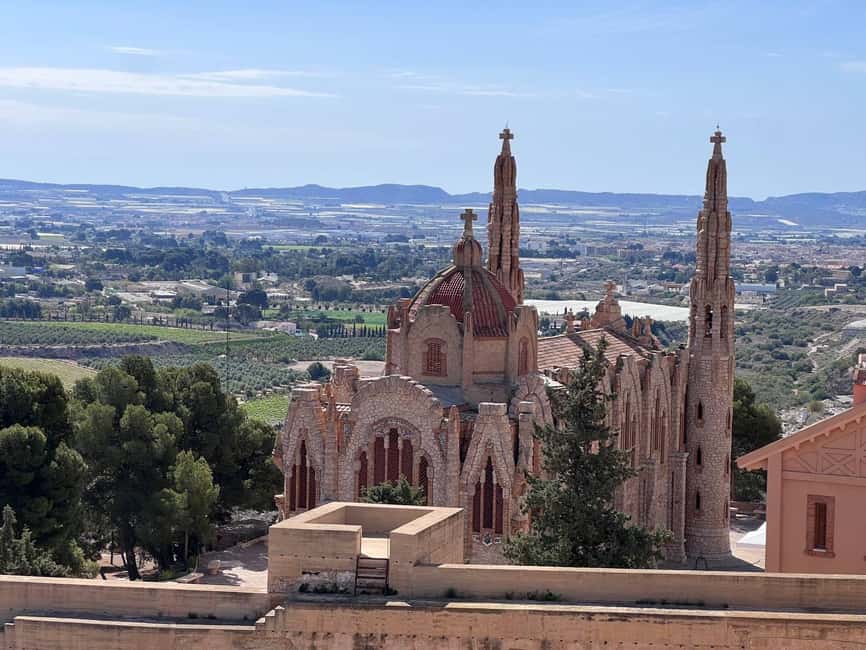 From Alicante: Winery Tour and Wine Tasting with Tapas - Vineyard walk: learning what harvest effort really means