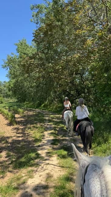 From Barcelona: PRIVATE Horseback Ride + Tapas + Picnic - Key highlights worth planning for