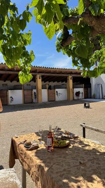 From Barcelona: PRIVATE Horseback Ride + Tapas + Picnic - Photos: what’s included, what costs extra