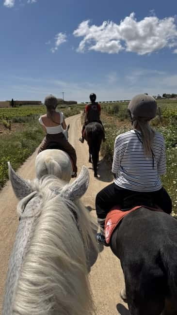From Barcelona: PRIVATE Horseback Ride + Tapas + Picnic - Price and group-size rules: when $347 per person makes sense
