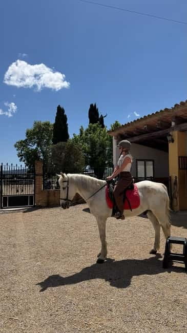 From Barcelona: PRIVATE Horseback Ride + Tapas + Picnic - Is this the right horseback tour for you?