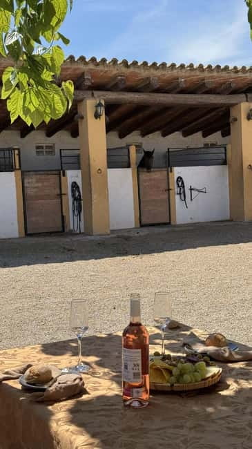 From Barcelona: PRIVATE Horseback Ride + Tapas + Wine Picnic - Penedès on horseback: why this ride feels different than wine tours