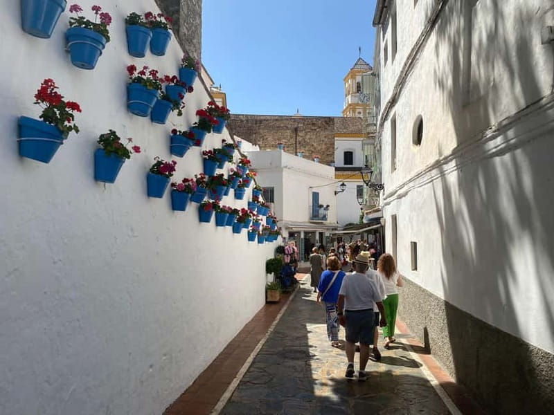 From Estepona, Mijas, Marbella: Marbella Private Tour with Transport, Tapas, and Drinks - What to expect from the pacing and free time (so you don’t feel squeezed)
