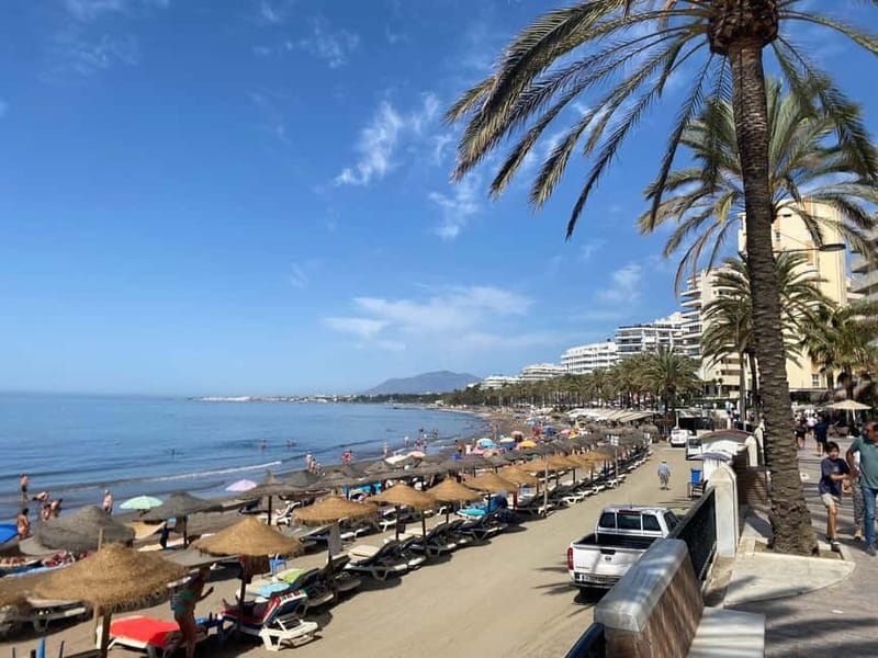 From Estepona, Mijas, Marbella: Marbella Private Tour with Transport, Tapas, and Drinks - Who this Marbella private tour is best for