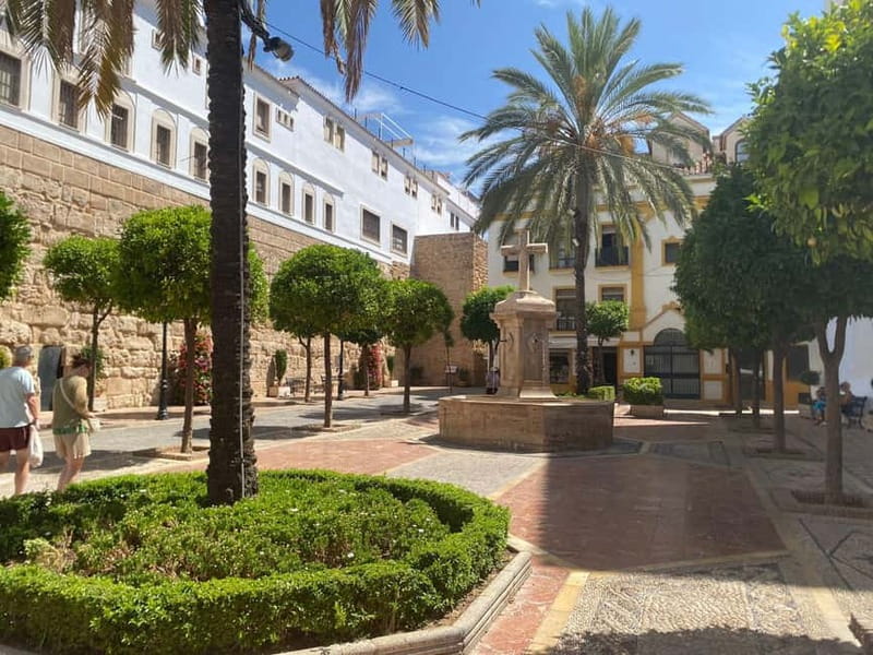 From Estepona, Mijas, Marbella: Marbella Private Tour with Transport, Tapas, and Drinks - Languages, comfort, and accessibility