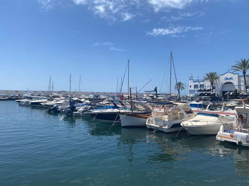 From Estepona, Mijas, Marbella: Marbella Private Tour with Transport, Tapas, and Drinks - Old Town Marbella: whitewashed streets, bougainvillea, and a story you can walk