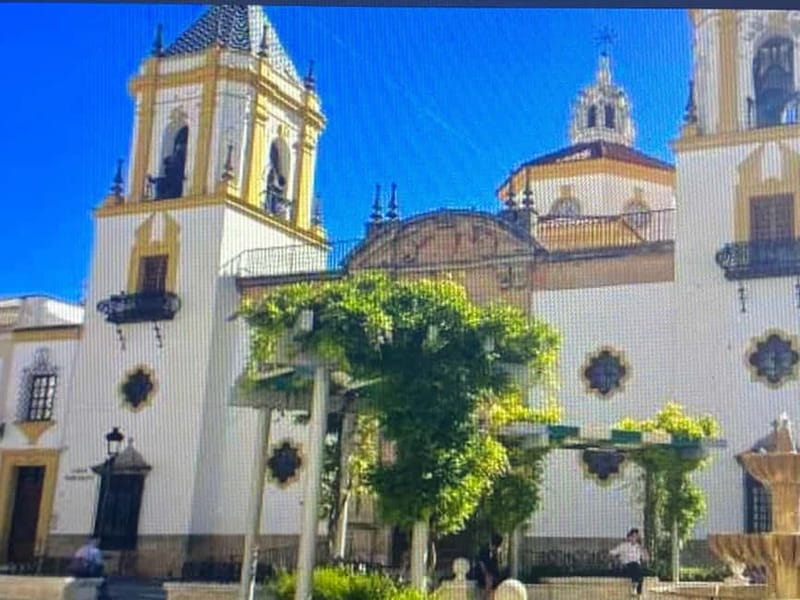 From Estepona: Ronda, private transport, cafe, bullring, tapas, drinks - Who this Ronda private day trip is best for