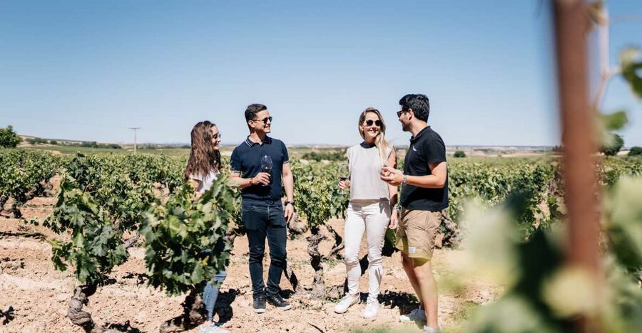 From Madrid: Traditional Villages, Winery Tour & Tapas Lunch - Key highlights to know before you go