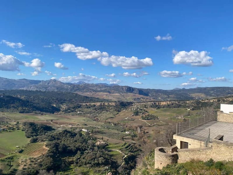 from Marbella, Estepona:Private tour Ronda incl. transfer,bullring,tapas - Tapas and regional wine: the meal that makes the day feel complete