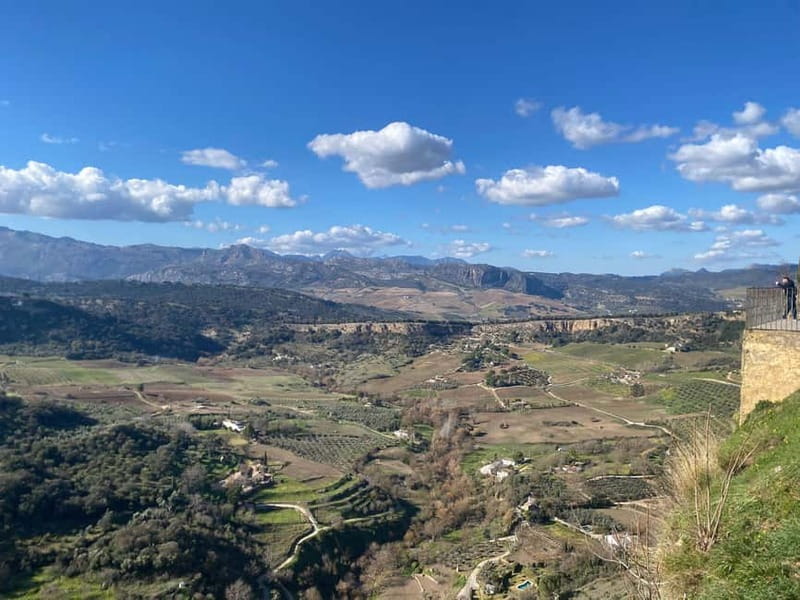 From Marbella: Ronda, private transport, cafe, bullring, tapas, drinks - Who this private Ronda tour suits best