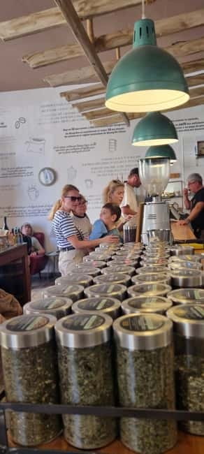 Fuerteventura North with Tapas (food) - Calderón Hondo volcano walk: turning rock into a story