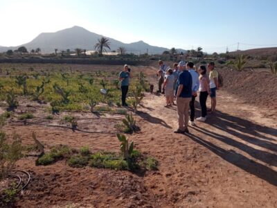 Fuerteventura: Tapas and Local Life Guided Tour - Price and what you actually get for $92