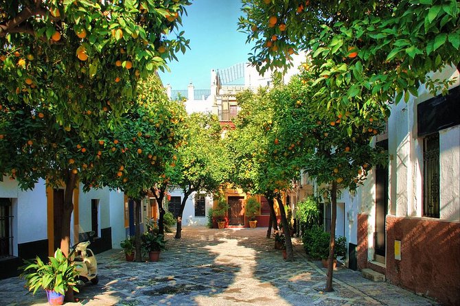 Full Day Seville Tour with tickets (optional Tapas & Flamenco) - Plaza de España and Parque de María Luisa: a grand finish with real breathing room