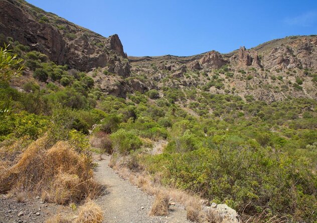 Gran Canaria 7 Highlights Small Group Tour with Tapas Picnic - Key things to know before you go