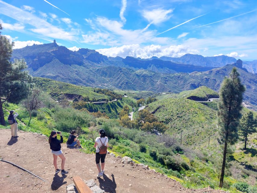 Gran Canaria 7 Highlights Small Group Tour with Tapas Picnic - Price and value: is $115 fair for what you get?