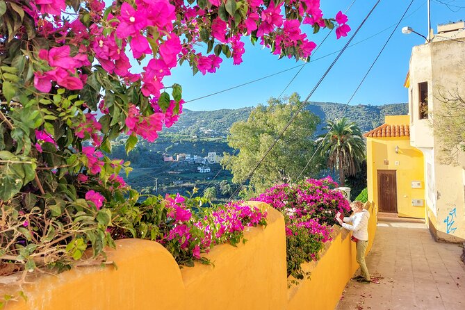 Gran Canaria 7 Highlights Small Group Tour with Tapas Picnic - Why this Gran Canaria highlights tour feels like traveling with friends