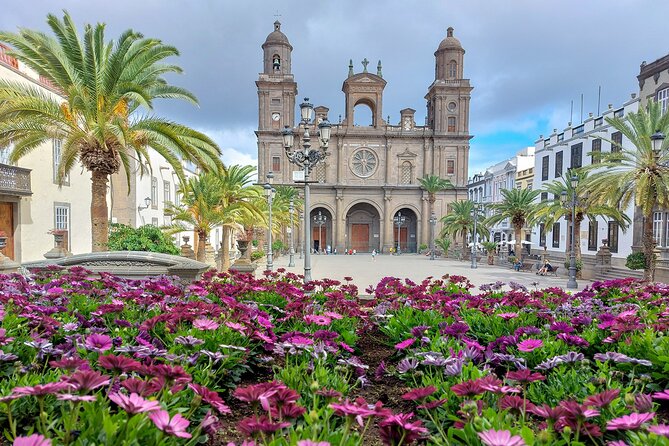 Gran Canaria 7 Highlights Small Group Tour with Tapas Picnic - Lunch and picnic in the pine forest: the Canarian tapas break that anchors the day