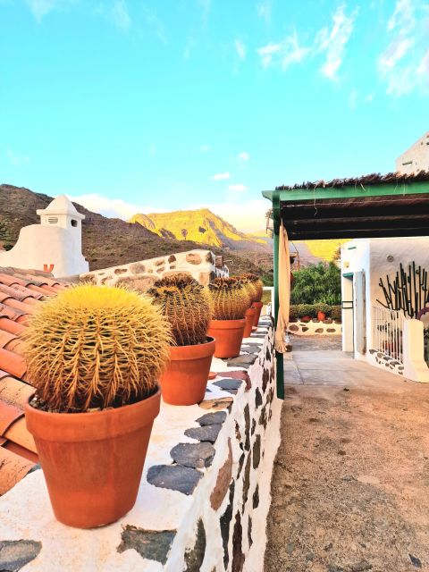 Gran Canaria: Spanish Tapas and Wine Tasting Tour in Mogan - Meeting point and small logistics that keep it smooth