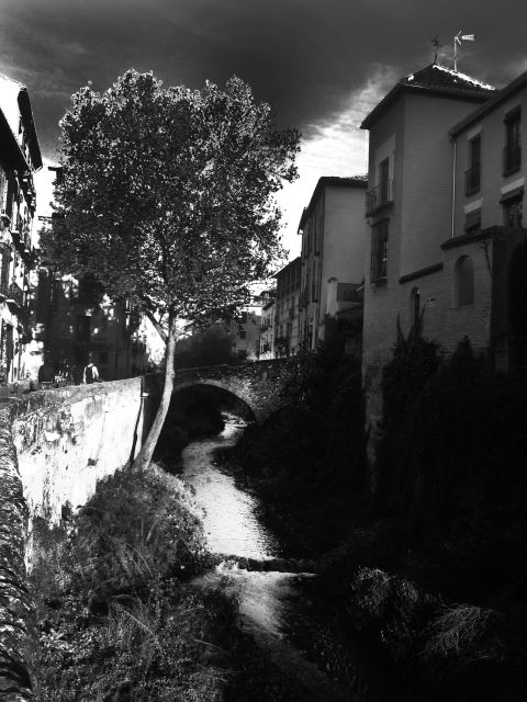 Granada Albaicín: 2.5-Hour Tapas & Drinks Walking Tour - Guide, Group Size, and Conversation Energy