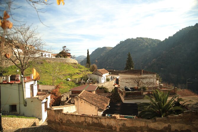 Granada Highlights Tour with Tapas Breaks by Electric Bike - Tapas Breaks on the Route: How Much Food and How Many Drinks?