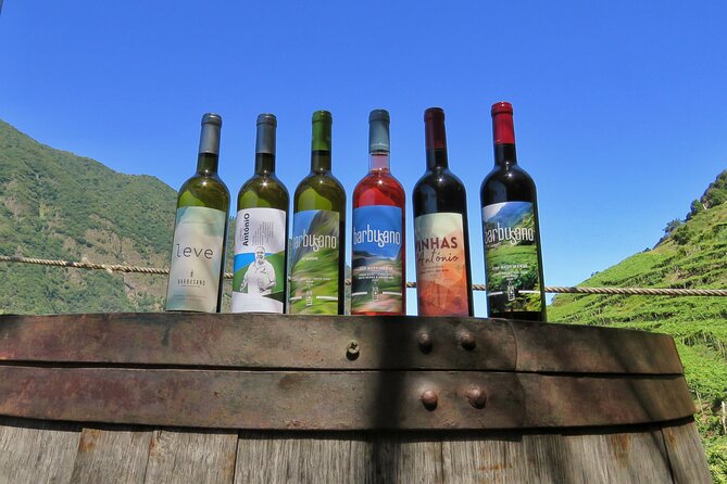 Guided 4x4 Adventure and Skywalk with Wine and Tapas in Madeira - 4x4 Adventure Energy: How the Day Actually Plays