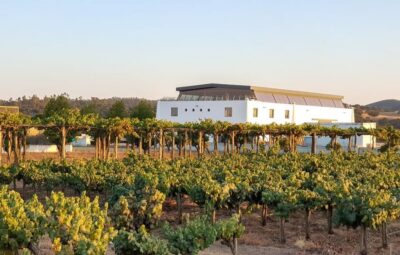 Herdade Canal Caveira - Winery Visit 4 Wines & Tapas - 45 Hectares of Plant Life: How the Estate’s Mix Shows Up in the Wines