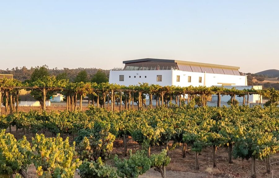 Herdade Canal Caveira Winery Visit with TOP5 Wines & Tapas - Price and value: $46 for five wines plus food
