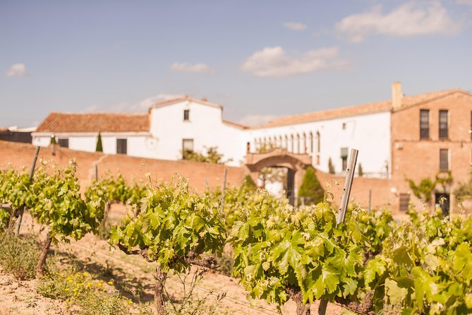 High-End Vineyard Escape: Cava, Tapas & Wine | Private Tour - Guides, private pacing, and the small details that matter