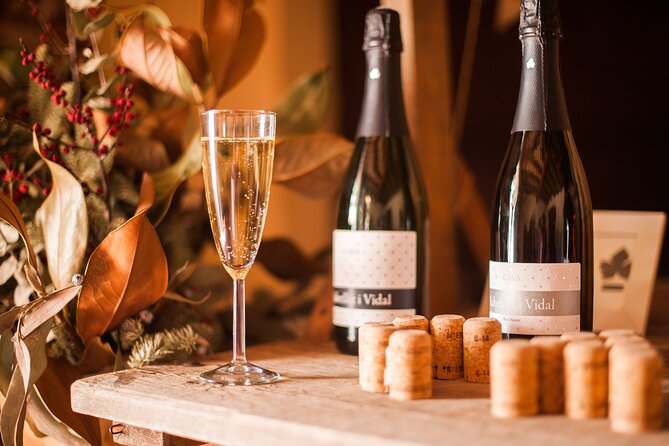High-End Vineyard Escape: Cava, Tapas & Wine | Private Tour - Should you book this tour?