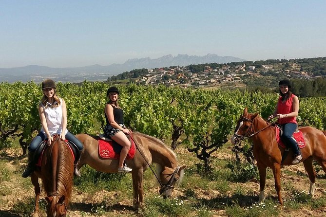 Horseback Ride, Penedes, Wine Tasting & Tapas Private Tour - Key highlights worth planning for