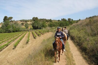 Horseback Ride, Penedes, Wine Tasting & Tapas Private Tour - Pares Balta: guided wine tasting you can actually use