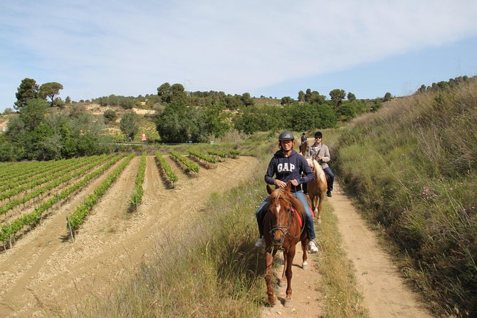 Horseback Ride, Penedes, Wine Tasting & Tapas Private Tour - Pares Balta: guided wine tasting you can actually use