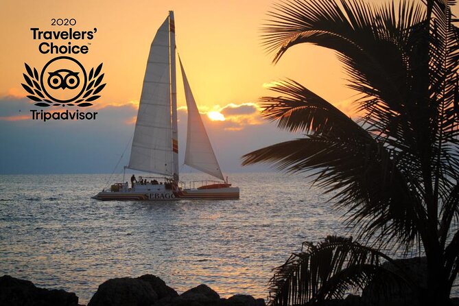 Key West Sunset Sail: Dolphin Watching, Wine, and Tapas - Weather and Sea Conditions: The One Thing That Can Change Everything