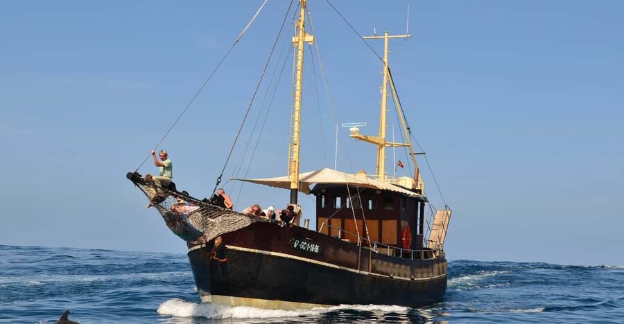 La Palma: 4-Hour Coastline Cruise with Tapas and Barbecue - Who This Cruise Fits Best
