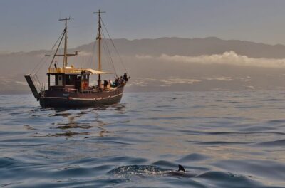 La Palma: 4-Hour Coastline Cruise with Tapas and Barbecue - Bussard on La Palma: What a 12-Guest Boat Changes