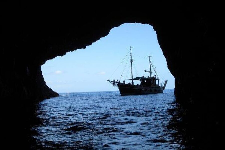 La Palma: 4-Hour Coastline Cruise with Tapas and Barbecue - The Swim and Snorkel Stop: Nets, Gear, and Time to Cool Off