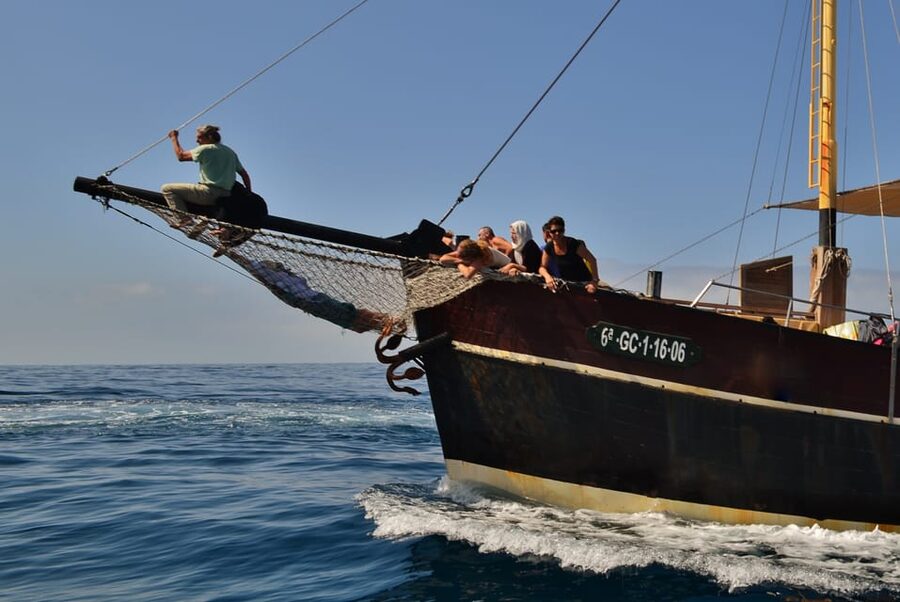 La Palma: 4-Hour Coastline Cruise with Tapas and Barbecue - Wildlife Spotting: Dolphins, Whales, and What to Do While You Watch