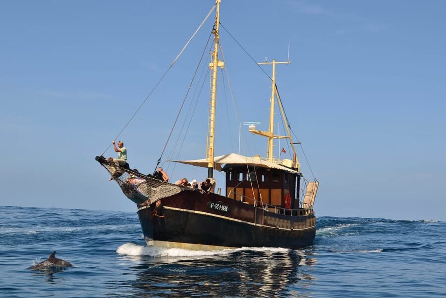 La Palma: 4-Hour Coastline Cruise with Tapas and Barbecue - Price and Value: Is $88 Worth It for 4 Hours?