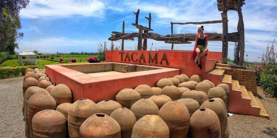 Lagos/Praia da Luz: Wine Tour, Tastings, Tapas, and Music - Paulo’s guitar and Gorete’s cooking: the part you’ll remember