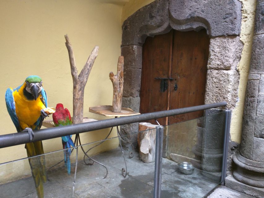 Las Palmas: Private Old City Guided Walking Tour with Tapas - Key things that make this tour worth your time