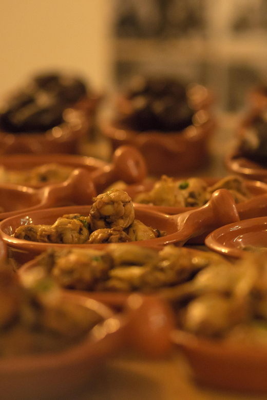Lisbon: Tapas & Drinks with Fado Live Performance - A Fado night that feels more like a tradition-sharing room
