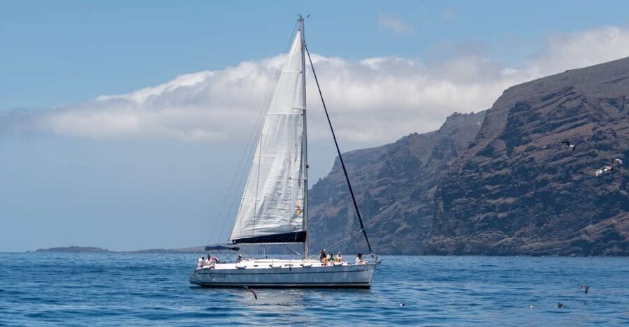 Los Gigantes: Sailing Excursion with Swimming, Drink & Tapas - Key points before you go