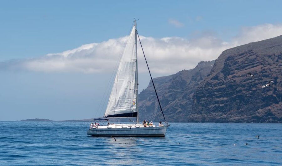 Los Gigantes: Sailing Excursion with Swimming, Drink & Tapas - Wildlife spotting for dolphins and whales: what you can realistically hope for