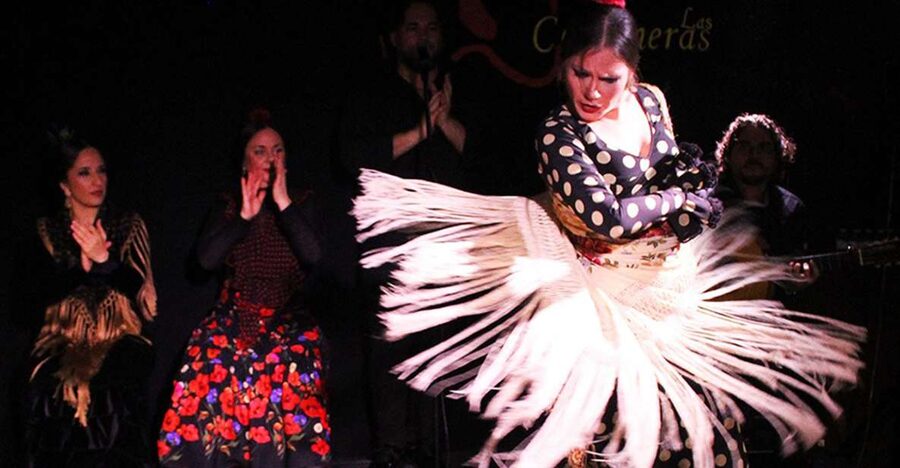 Madrid: Flamenco Show with Tapas and Wine Tour - Should you book this Madrid tapas and flamenco tour?