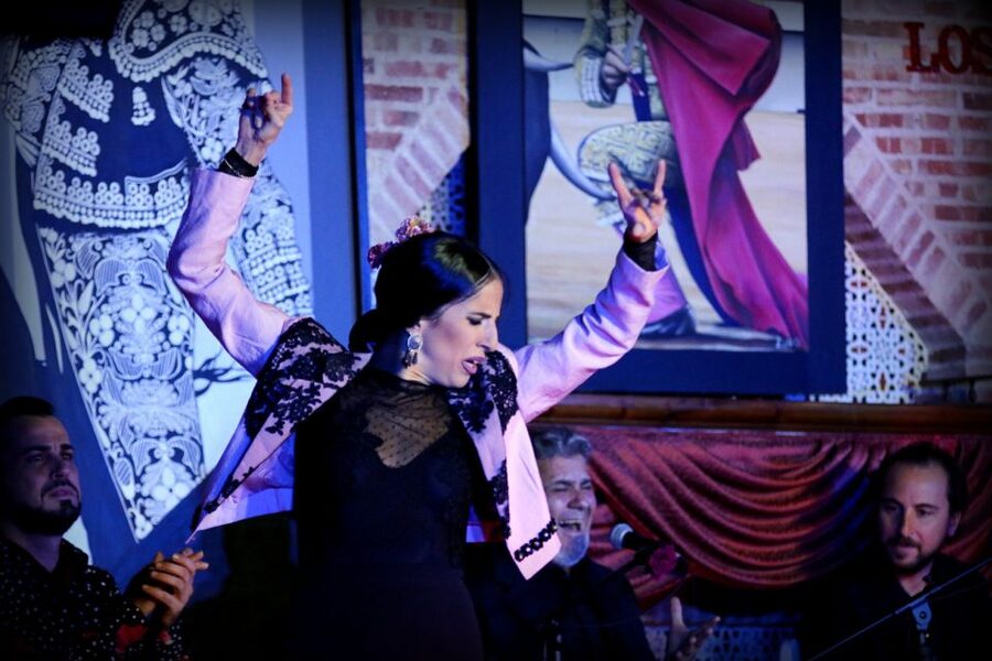 Madrid: Los Porches Flamenco Show with Tapas and Wine Ticket - Key things to know before you go