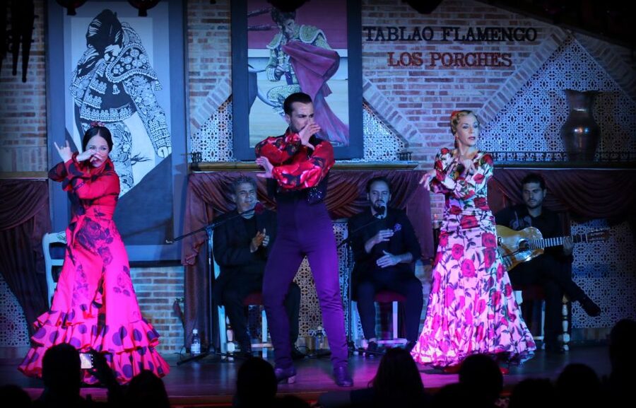 Madrid: Los Porches Flamenco Show with Tapas and Wine Ticket - The food and wine pairing: how to make it worth it