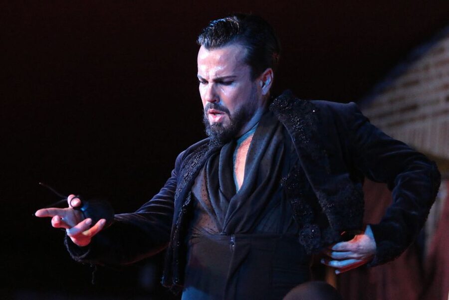 Madrid: Los Porches Flamenco Show with Tapas and Wine Ticket - Price and value: is $53 a fair deal?
