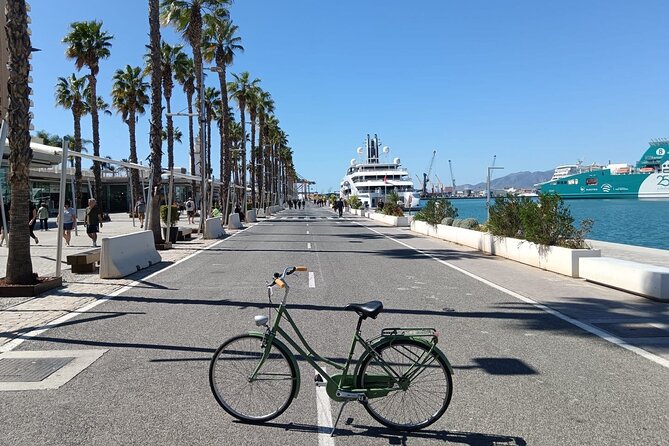 Malaga Bike Tour - Wine & Tapas - Price, group size, and booking timing: is $52.36 worth it?