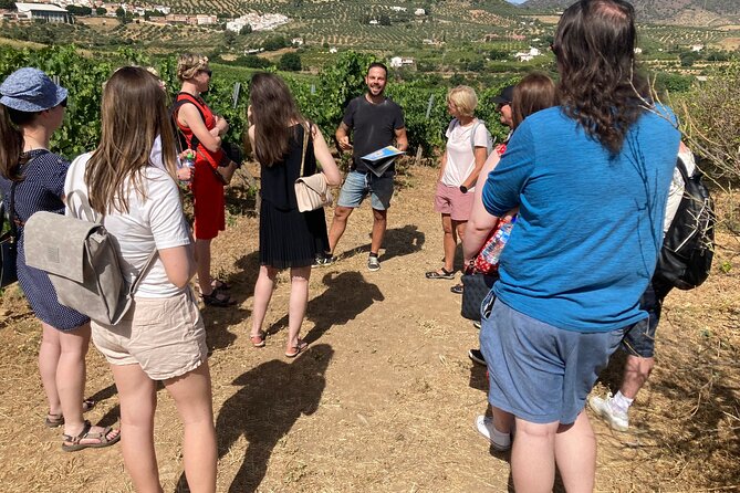 Malaga Organic Vineyard and Winery Six Wines Tapas and Transfer - Key highlights to watch for